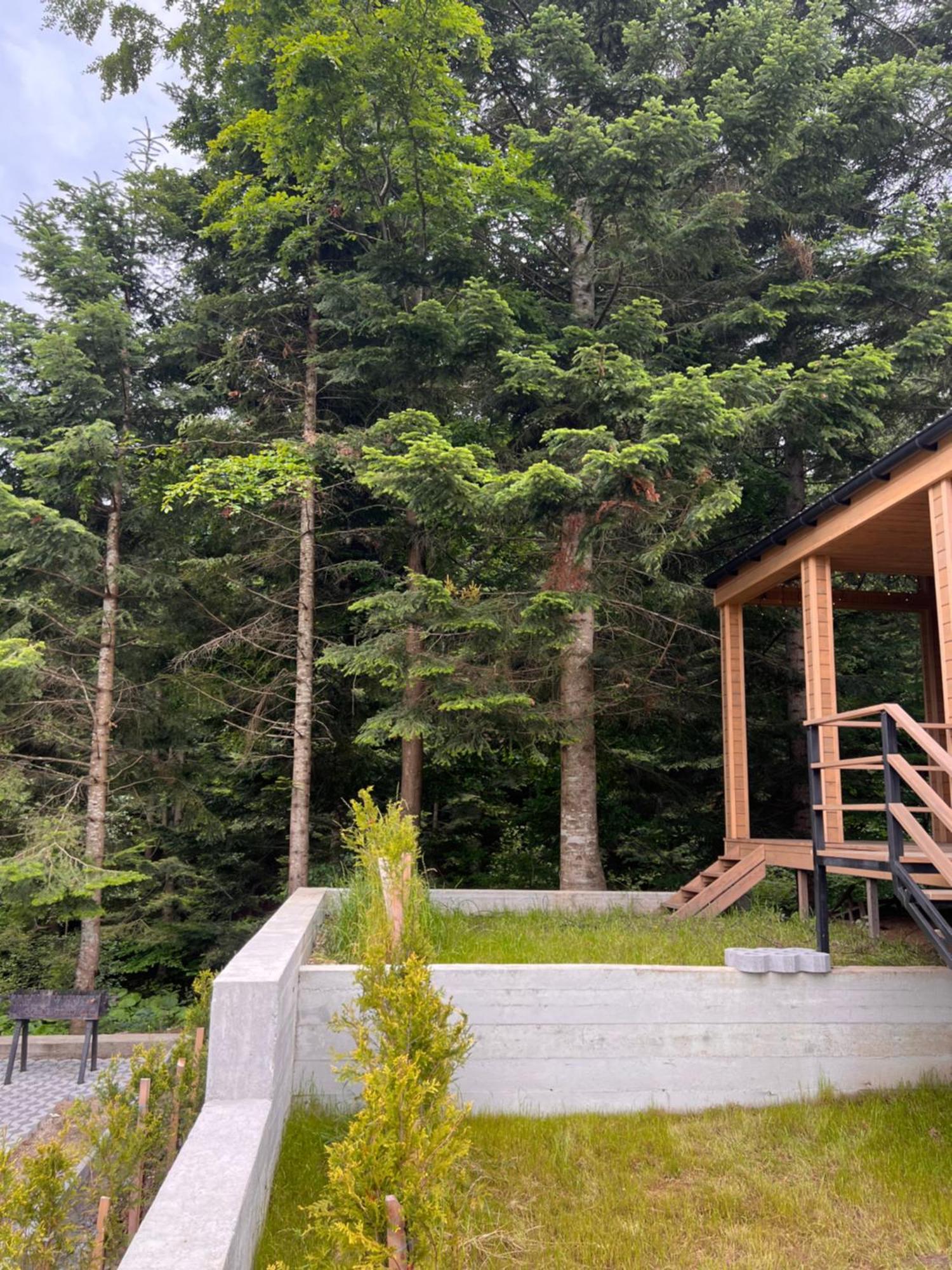 Парк-Готель Щастя Skhidnytsia エクステリア 写真